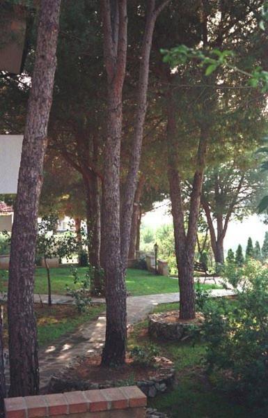 Villaggio Pineta Petto Bianco Capo Vaticano Eksteriør bilde