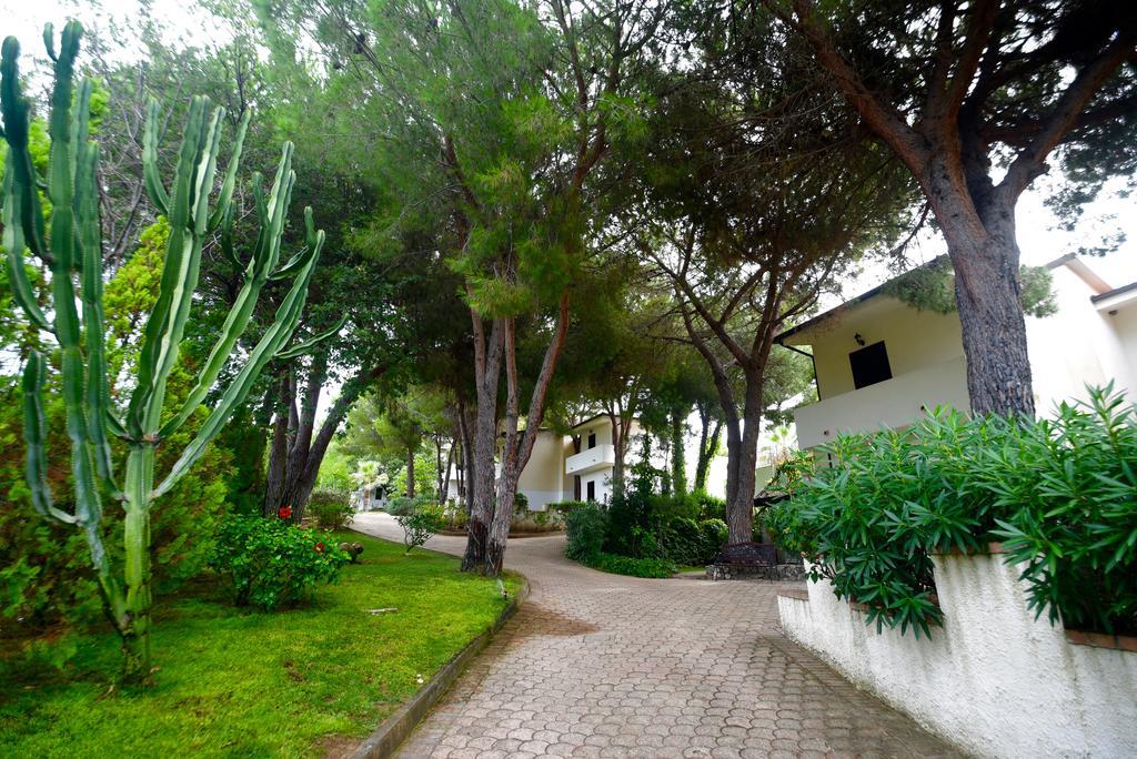 Villaggio Pineta Petto Bianco Capo Vaticano Eksteriør bilde